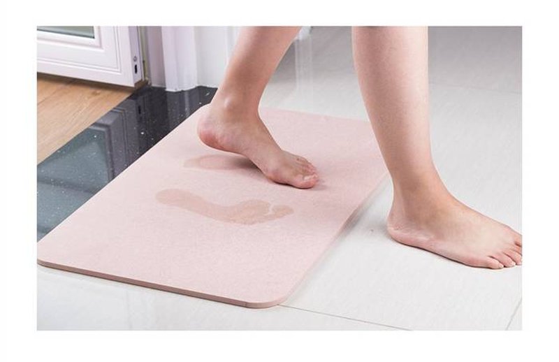 Silicon alger fodmat