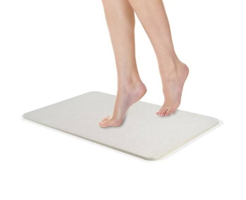 Silicon alger fodmat