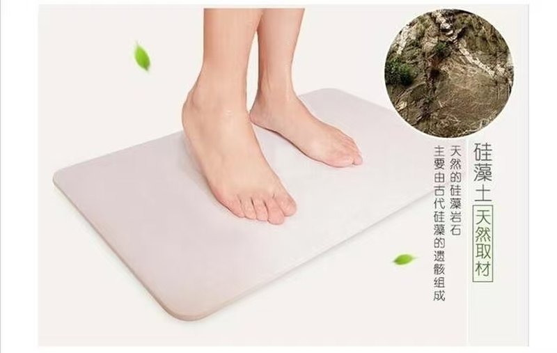 Silicon alger fodmat