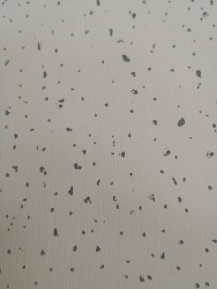 Brandsäkert och sänkbart tak